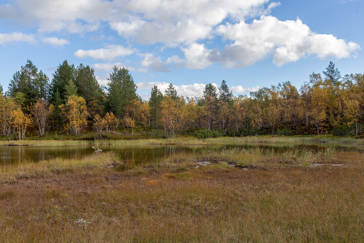 Река Ура, image of landscape/habitat.