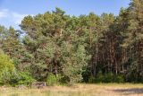 Image of landscape