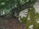 Image of landscape