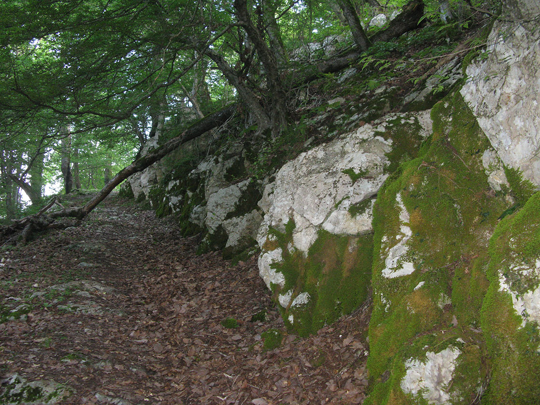 Афонская гора, изображение ландшафта.