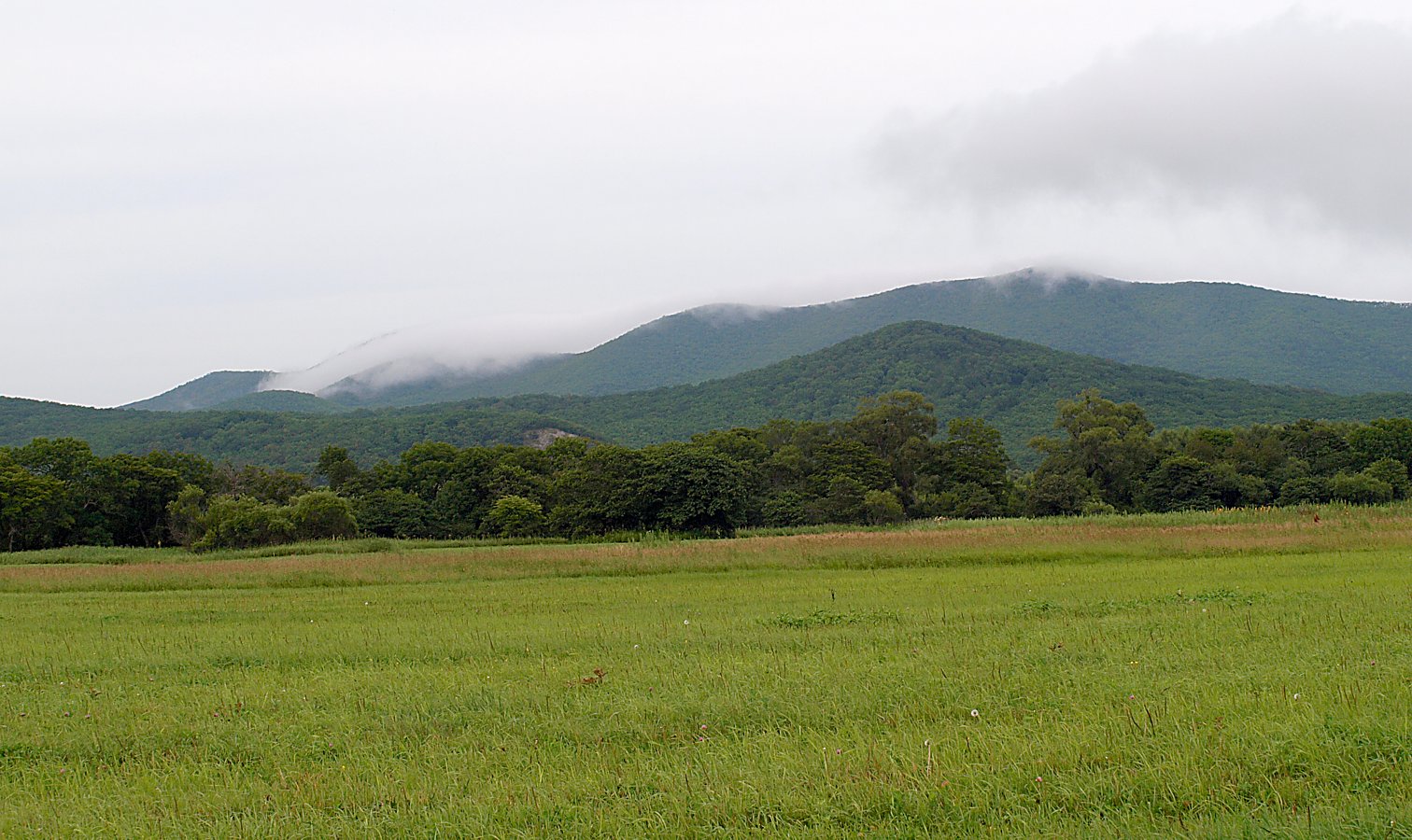 Милоградово, image of landscape/habitat.