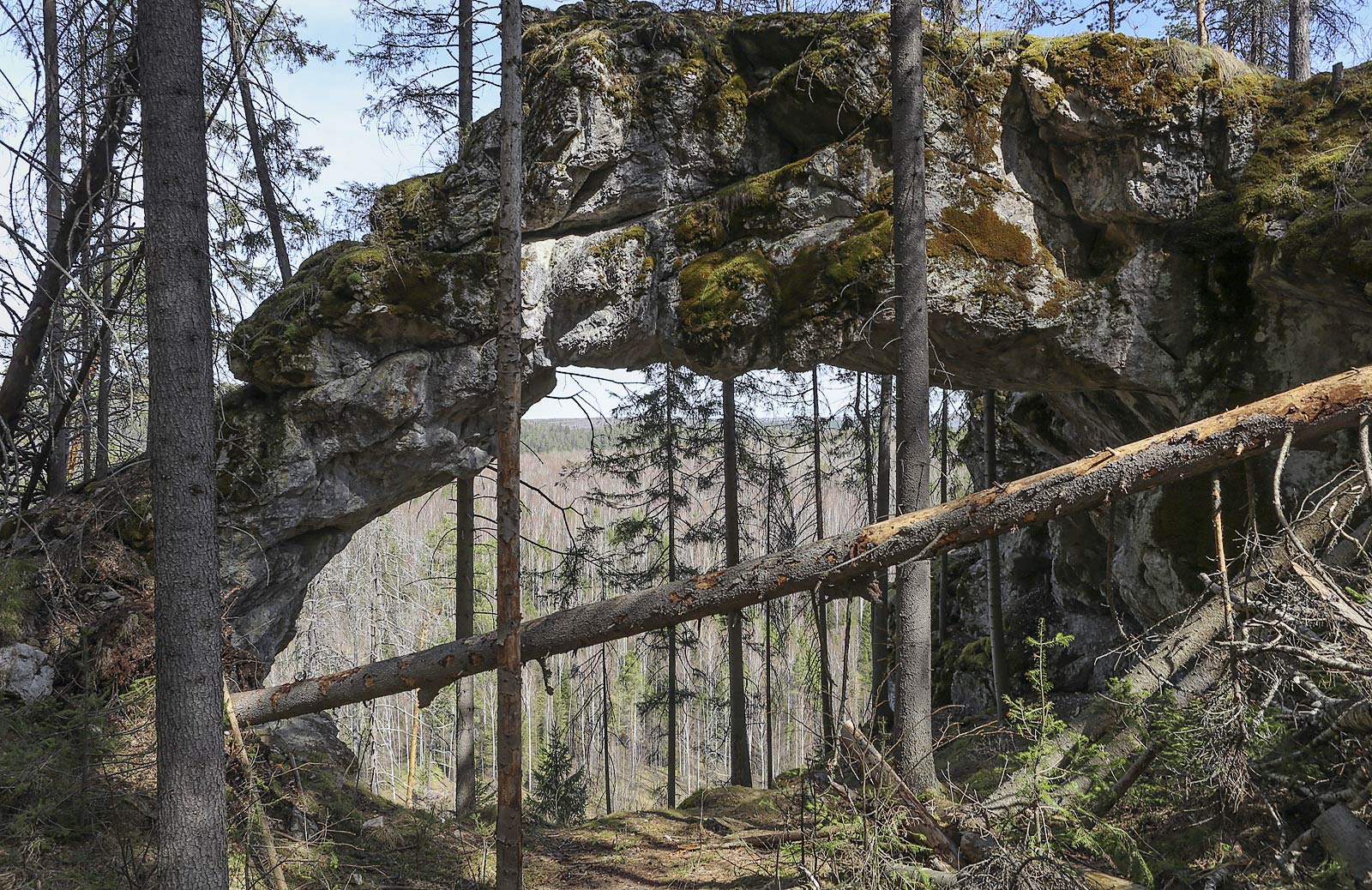 Камень Новиков и его окрестности, image of landscape/habitat.