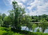 Окрестности Саргаи, image of landscape/habitat.