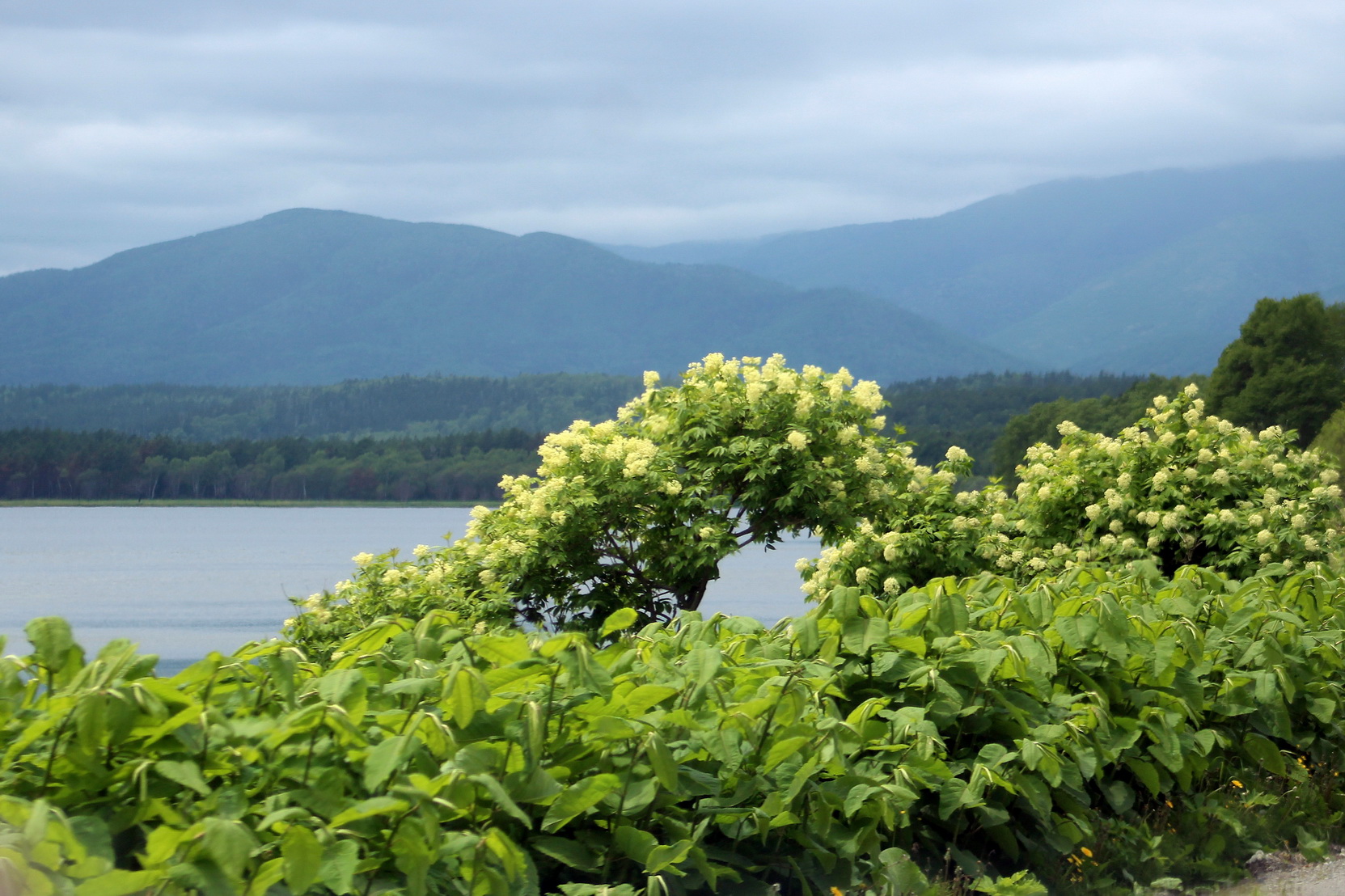 Село Охотское, image of landscape/habitat.