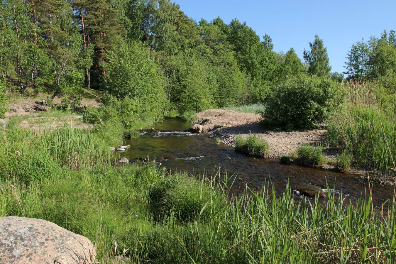 Берег у Сенокосной, image of landscape/habitat.