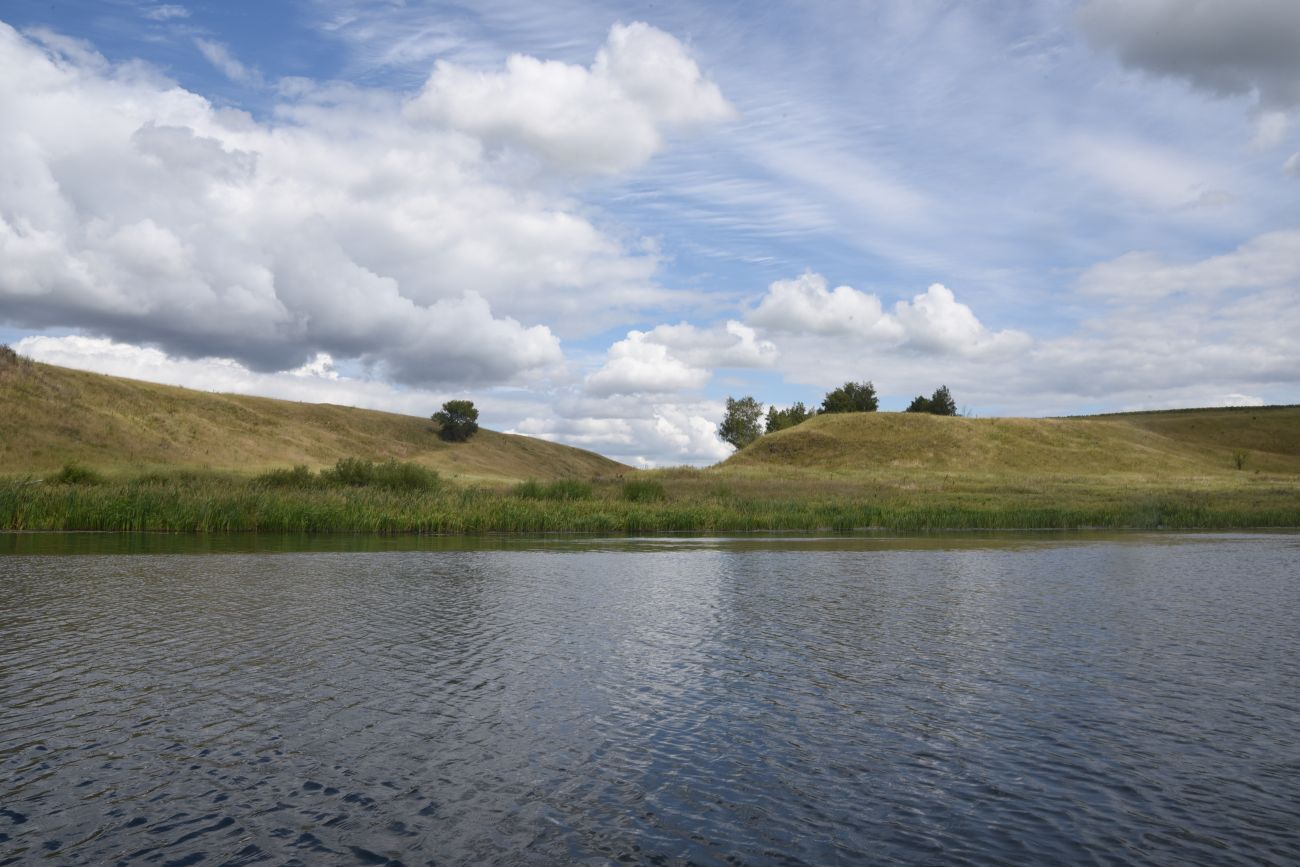 Урочище Бугровка, image of landscape/habitat.
