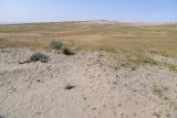 Image of landscape