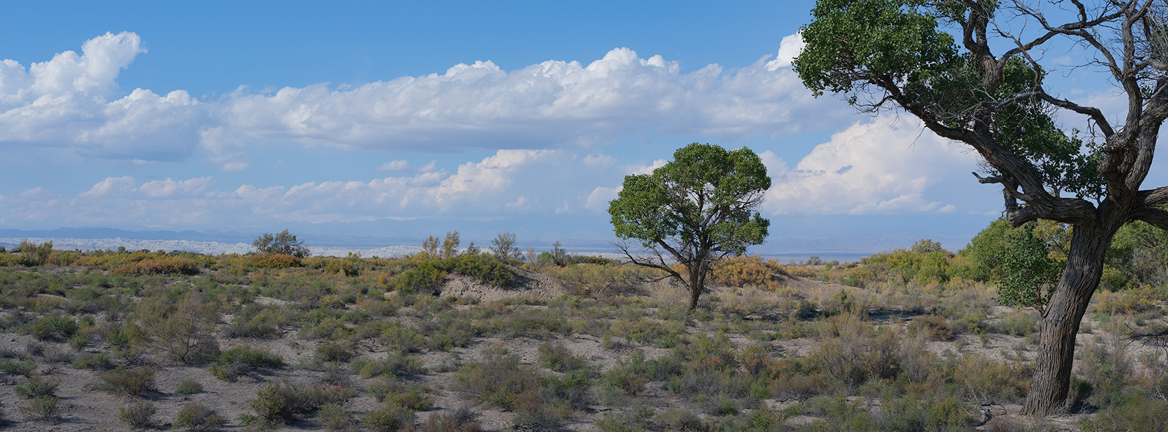 Каракульдек, image of landscape/habitat.