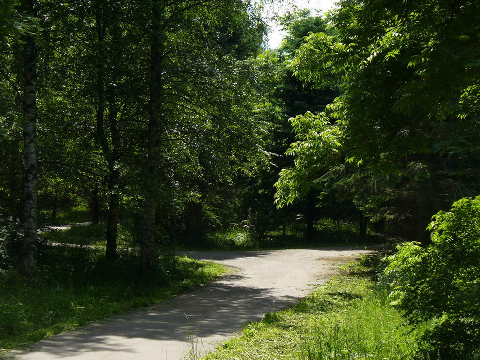 Переславский дендросад, изображение ландшафта.