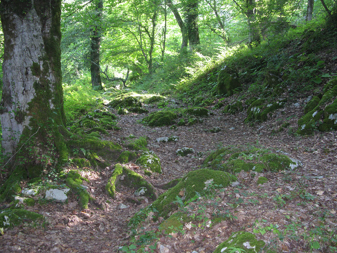 Афонская гора, изображение ландшафта.