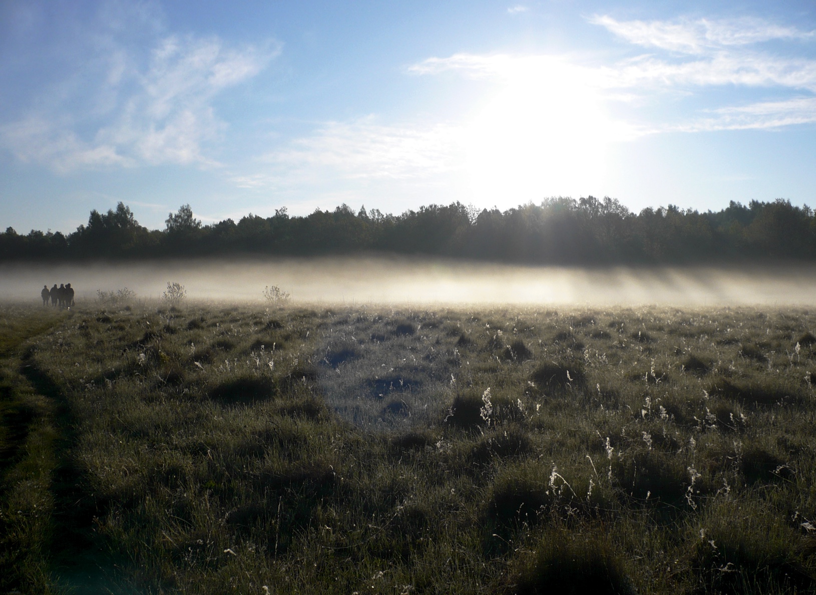 Соколова поляна, image of landscape/habitat.