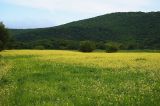 Image of landscape