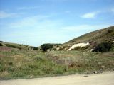 Image of landscape