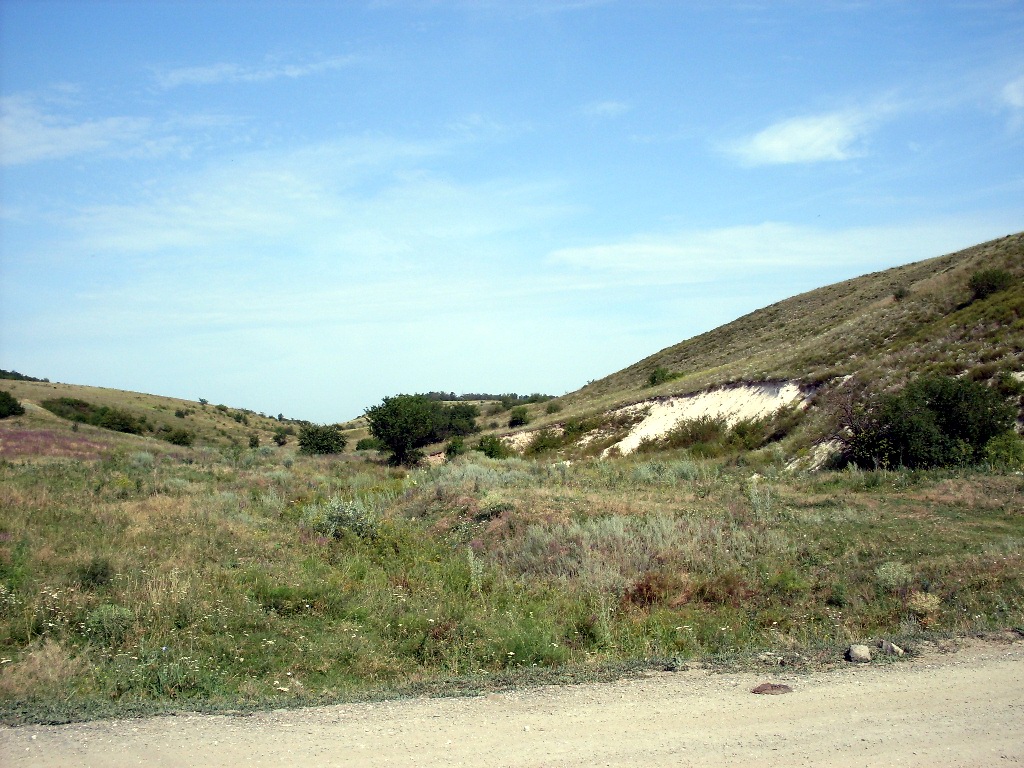 Лысогорка, image of landscape/habitat.