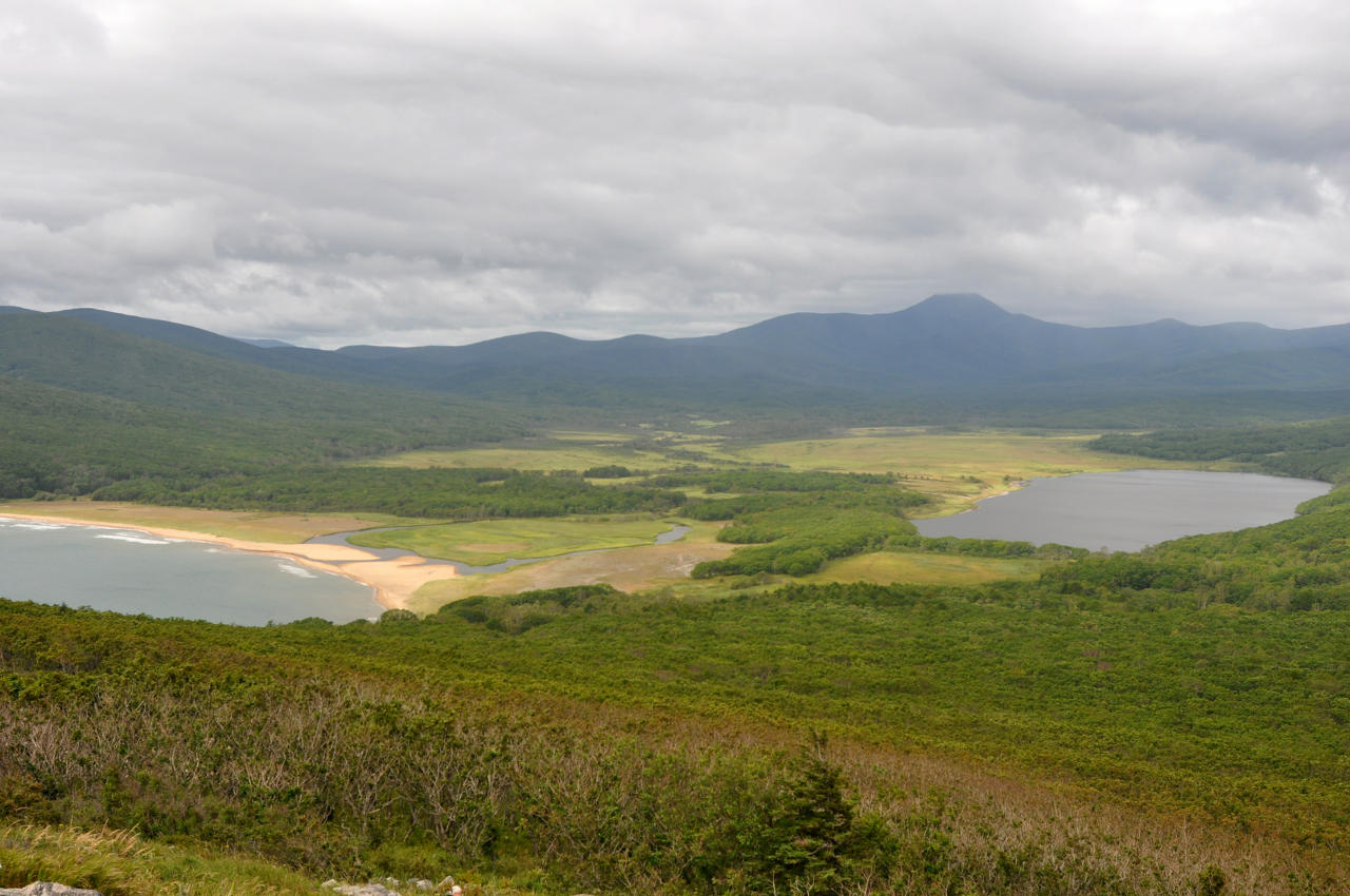 Бухта Голубичная, image of landscape/habitat.