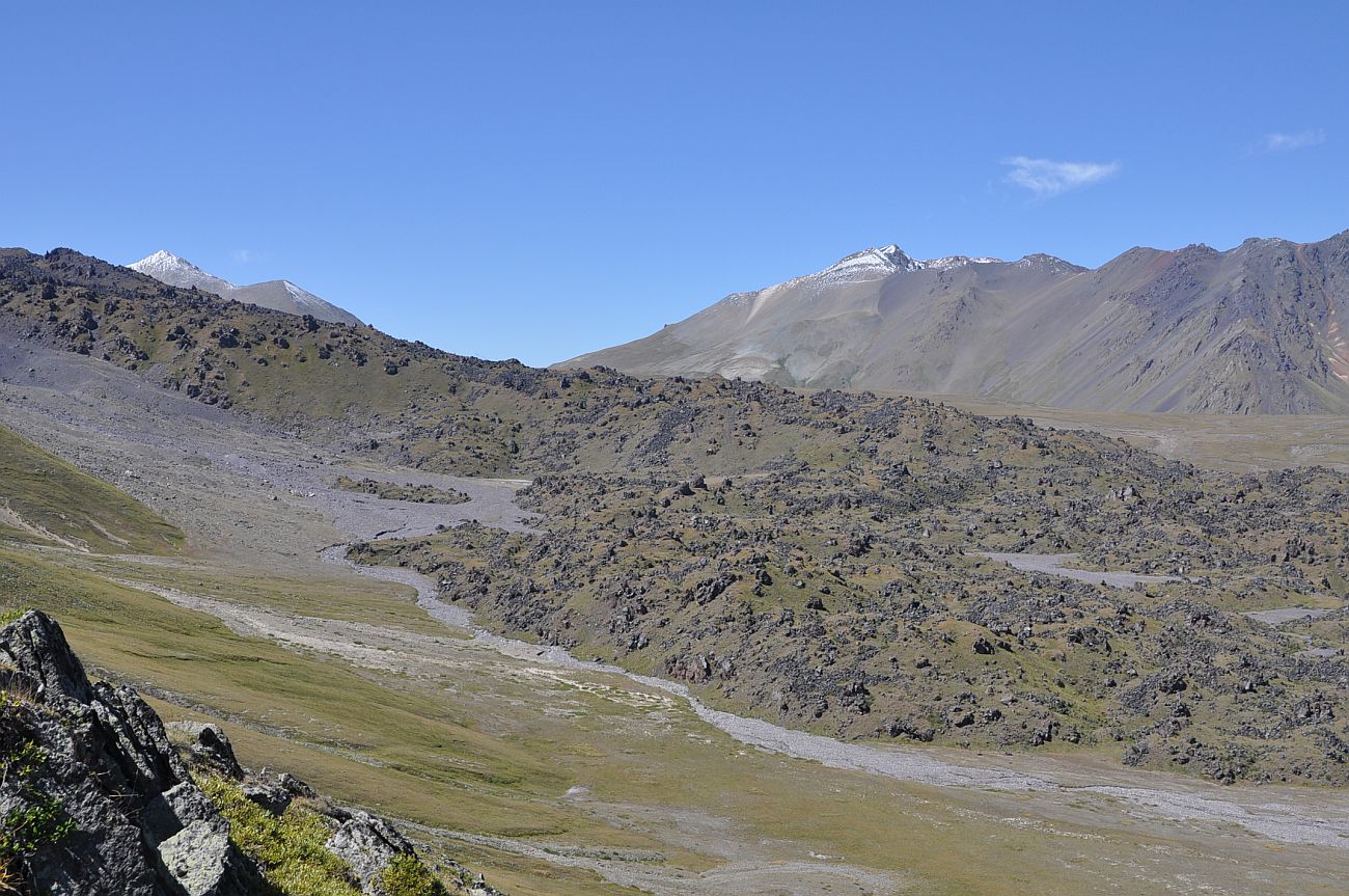 Урочище Аэродром, image of landscape/habitat.