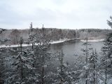 Лесопарк Пышки, image of landscape/habitat.