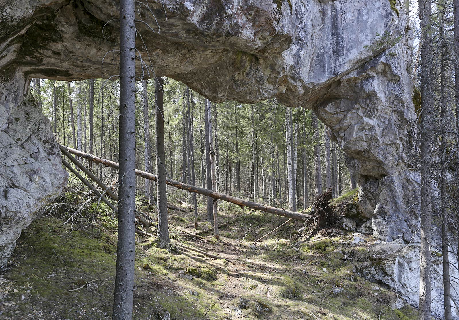 Камень Новиков и его окрестности, image of landscape/habitat.