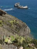 Image of landscape