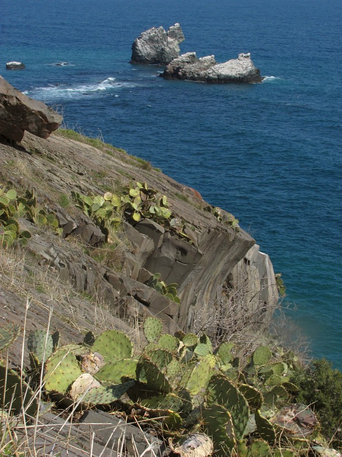 Ламбата, image of landscape/habitat.