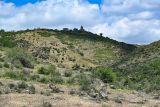 Окрестности села Тегер, image of landscape/habitat.