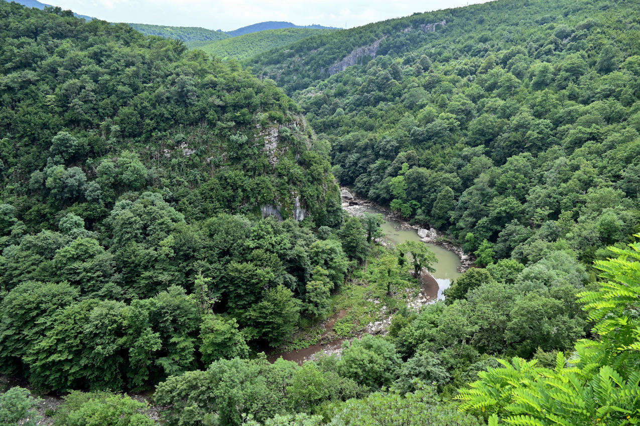 Моцамета, image of landscape/habitat.
