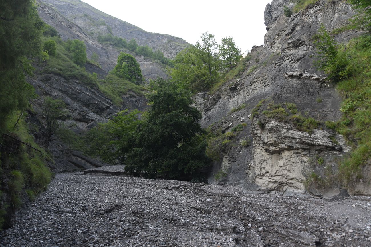 Левый приток реки Цесиахк, image of landscape/habitat.