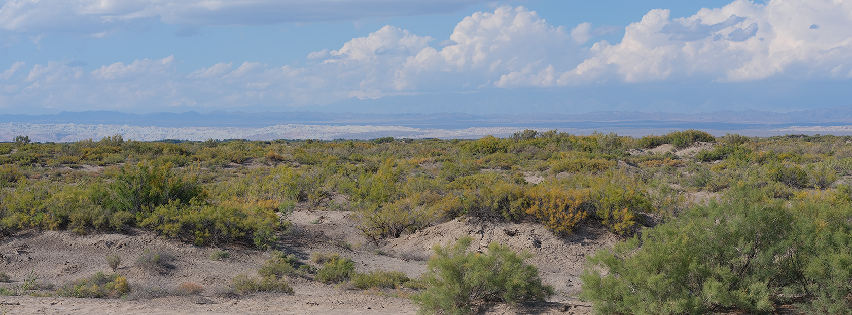 Каракульдек, image of landscape/habitat.
