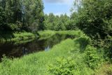 Image of landscape