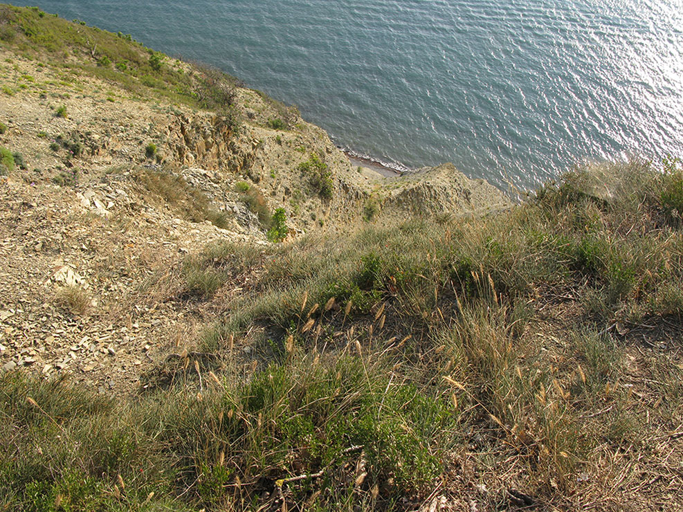 Большой Утриш, гора Солдатская, image of landscape/habitat.