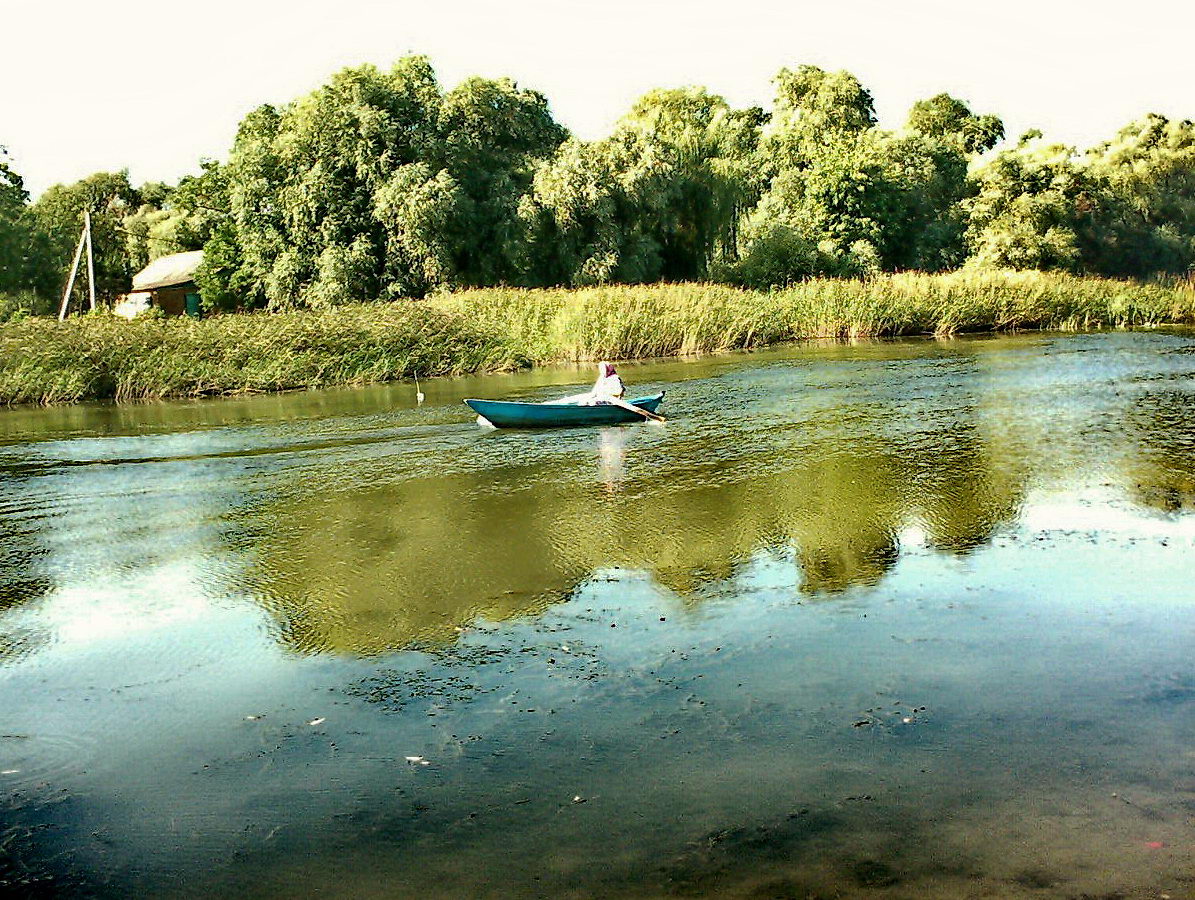 Узяк, image of landscape/habitat.