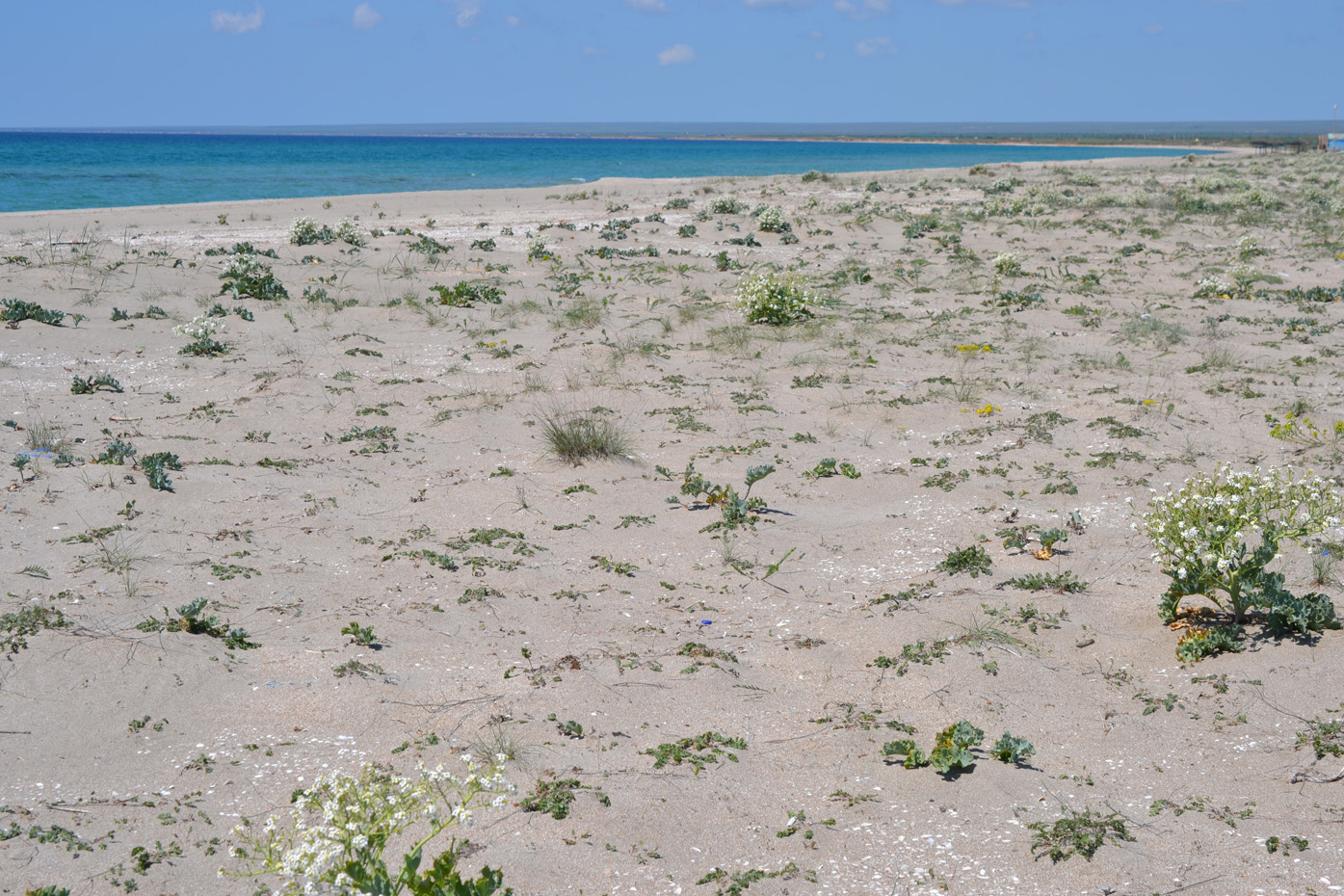 Донузлав, image of landscape/habitat.