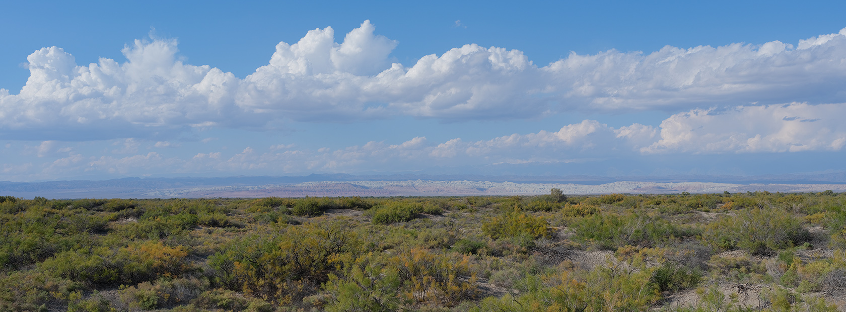 Каракульдек, image of landscape/habitat.