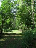 Image of landscape