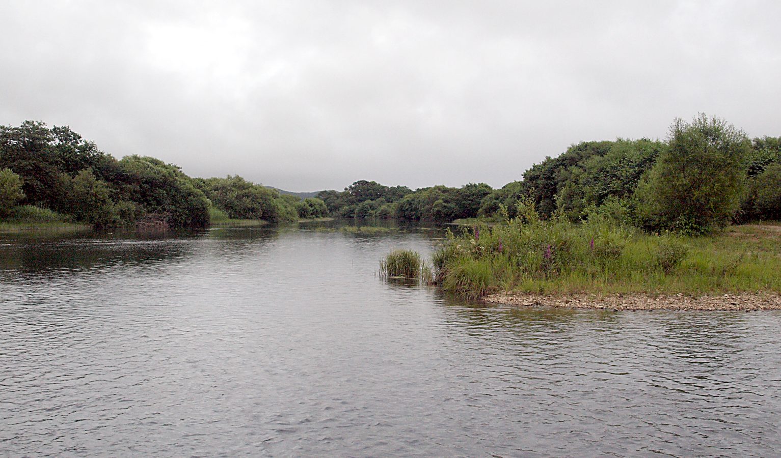 Милоградово, image of landscape/habitat.