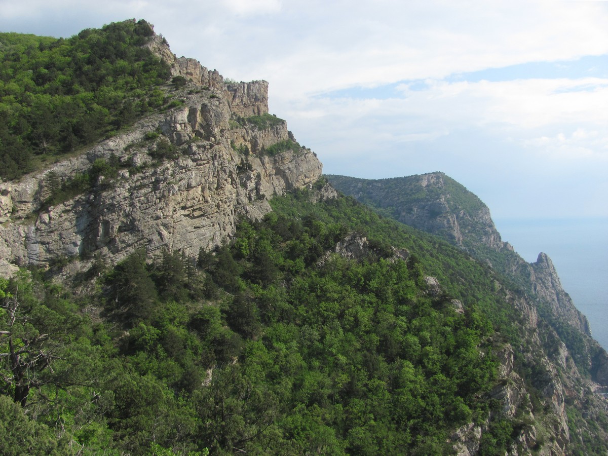 Биллер, image of landscape/habitat.