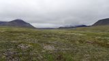 Image of landscape