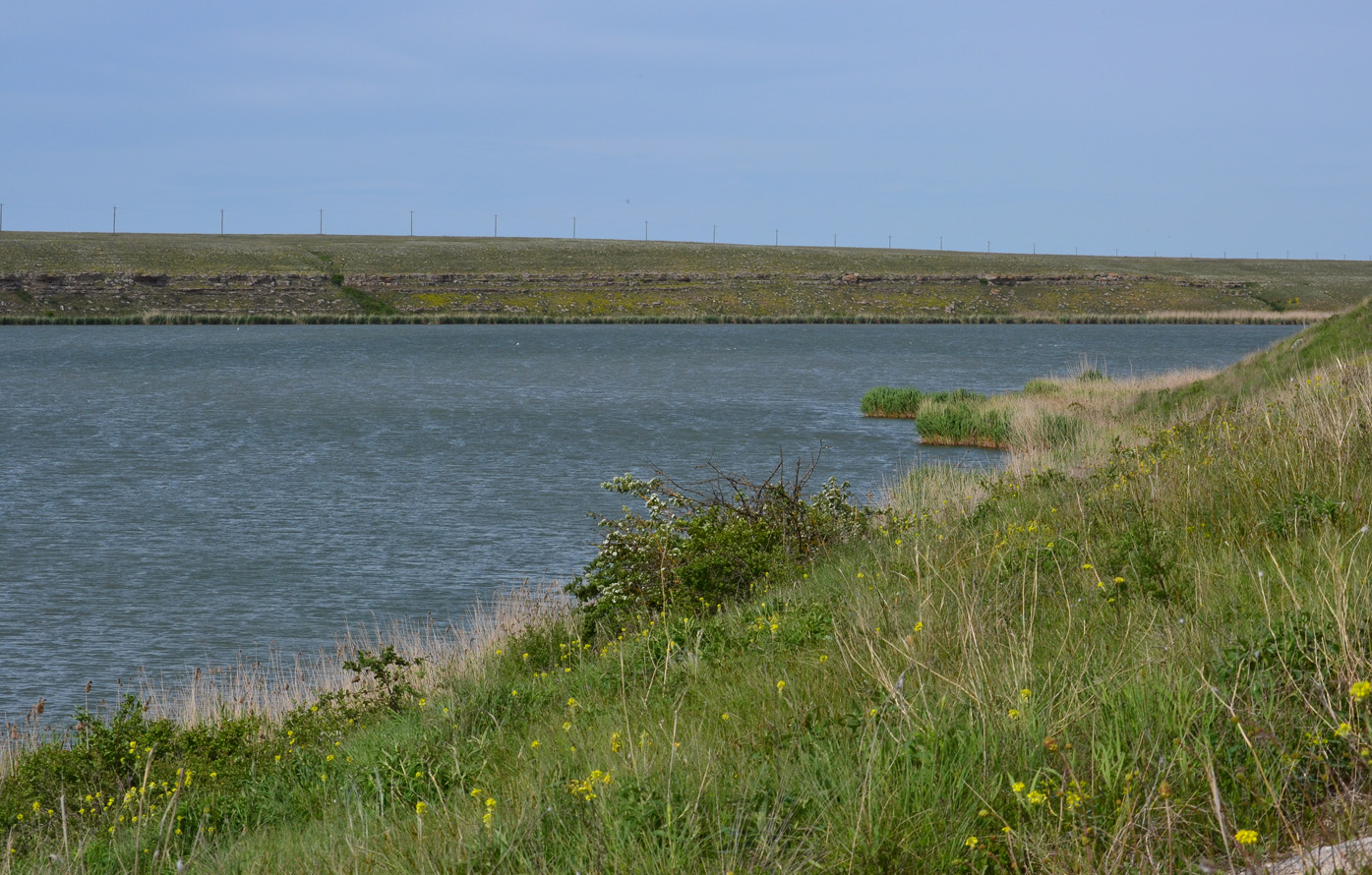 Донузлав, image of landscape/habitat.