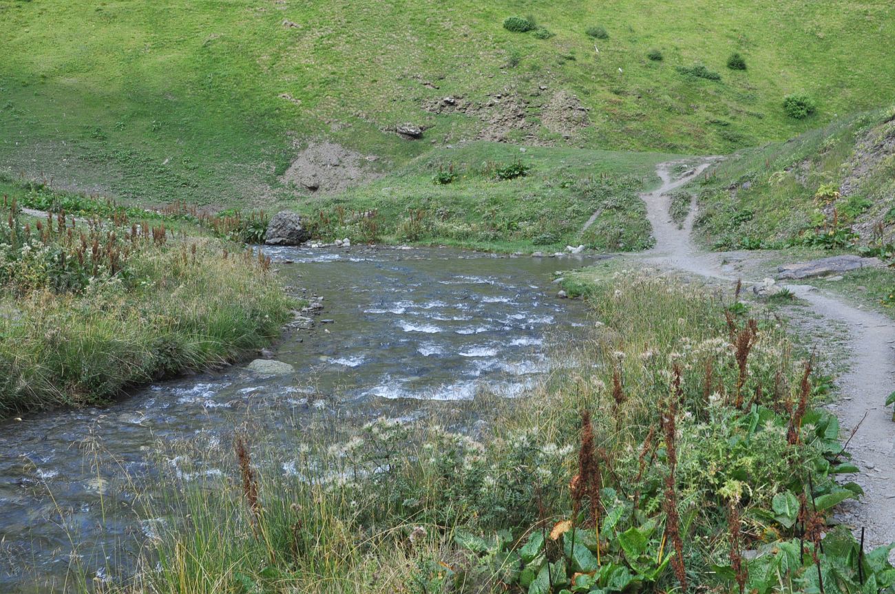 Долина ручья Чаухицхали, image of landscape/habitat.