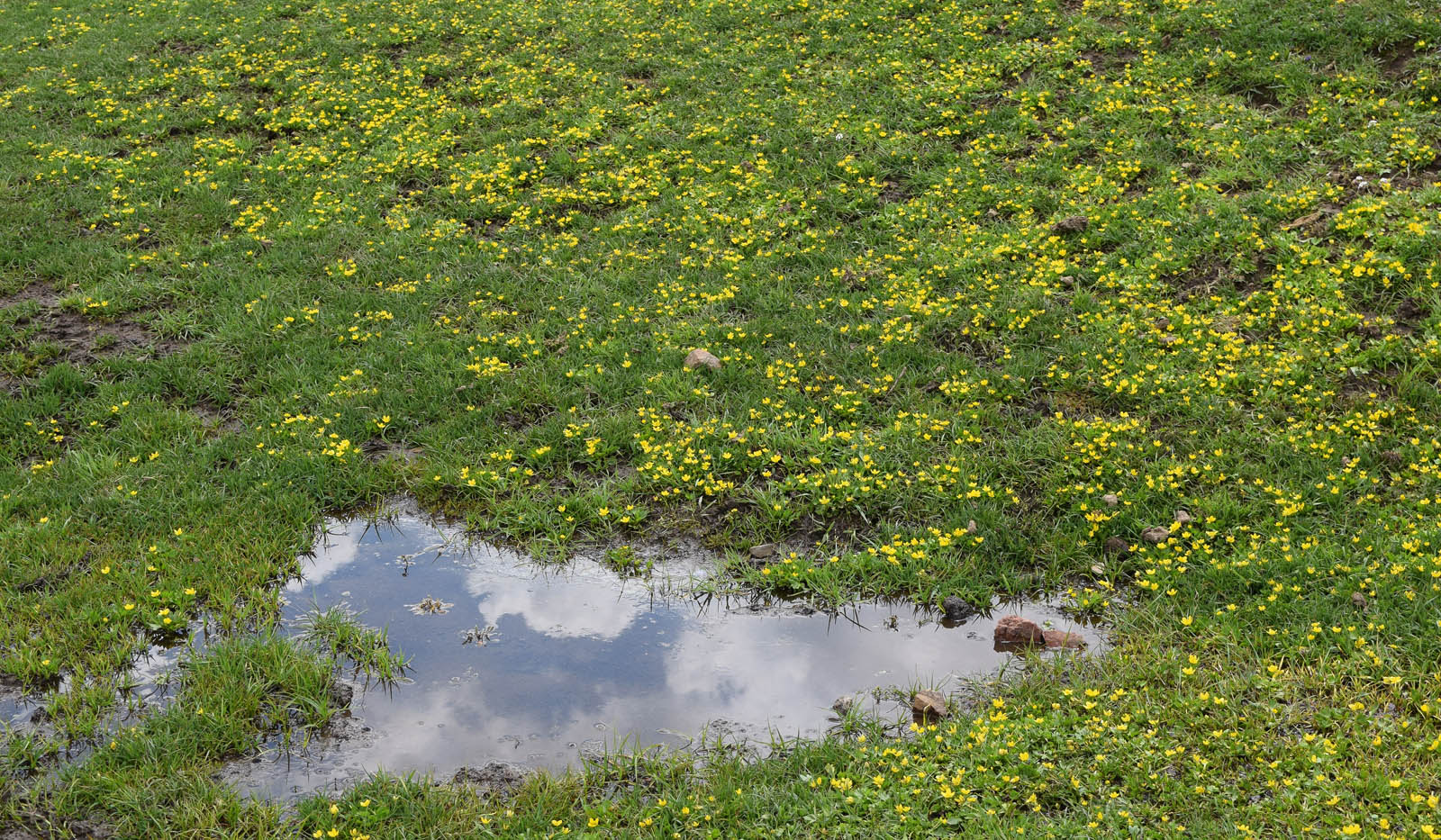 Юг Ангренского плато, image of landscape/habitat.