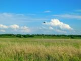 Кугей и его окрестности, image of landscape/habitat.