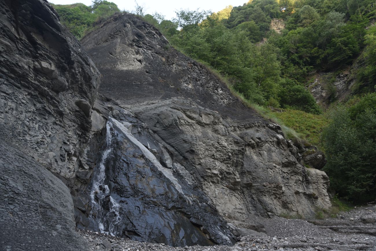 Левый приток реки Цесиахк, image of landscape/habitat.