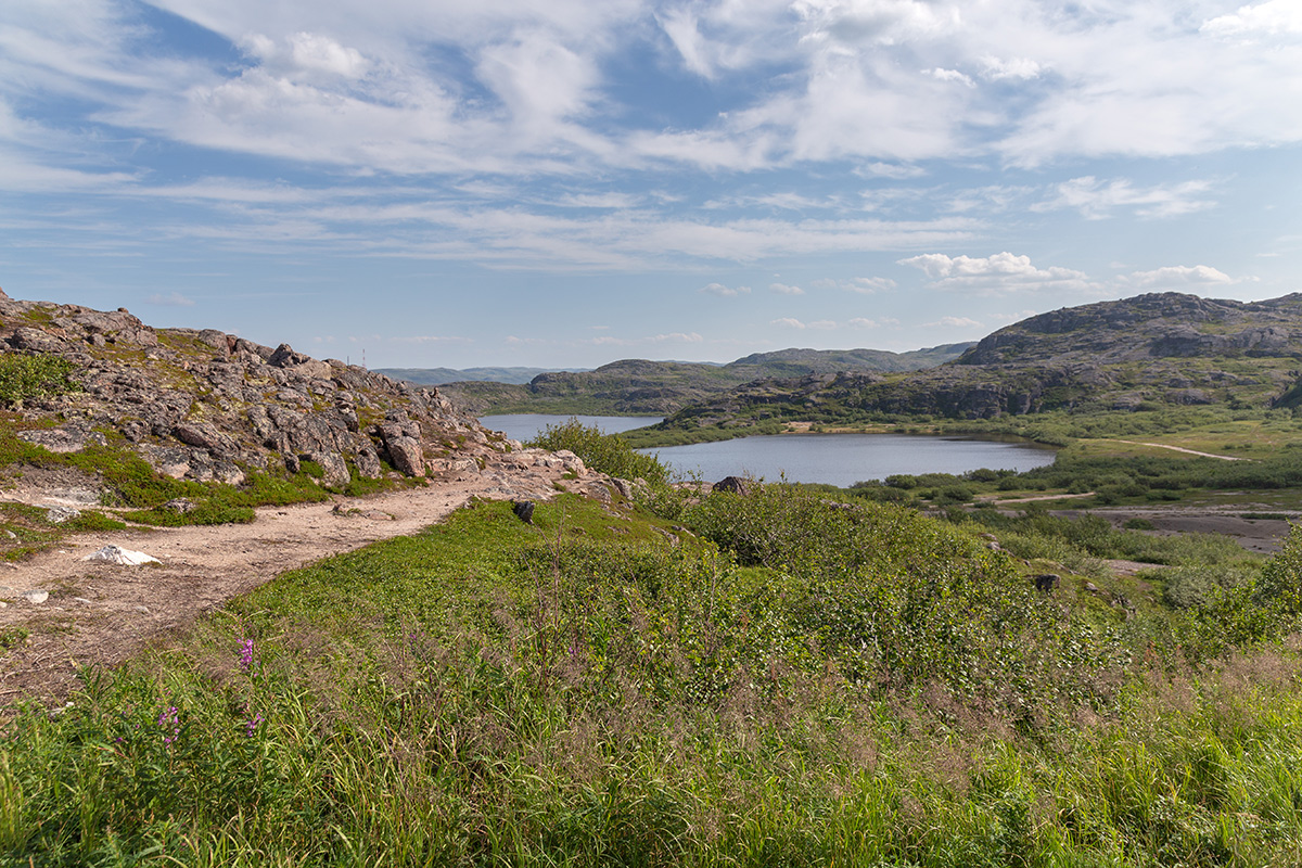 Териберка, image of landscape/habitat.