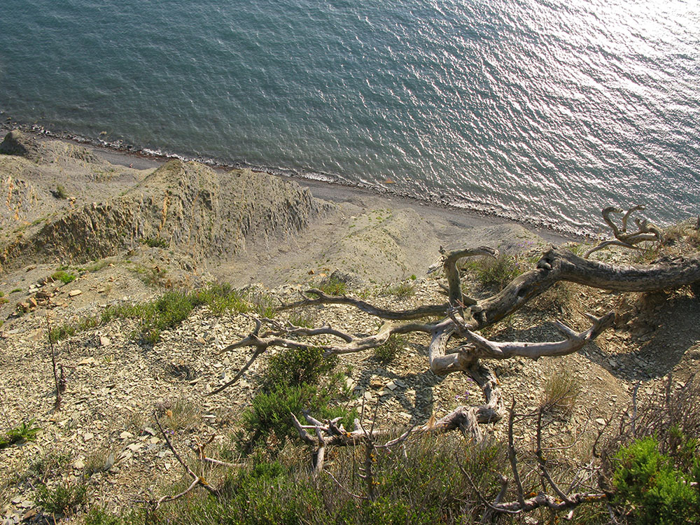 Большой Утриш, гора Солдатская, image of landscape/habitat.