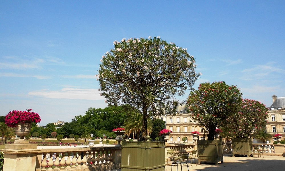 Париж, image of landscape/habitat.