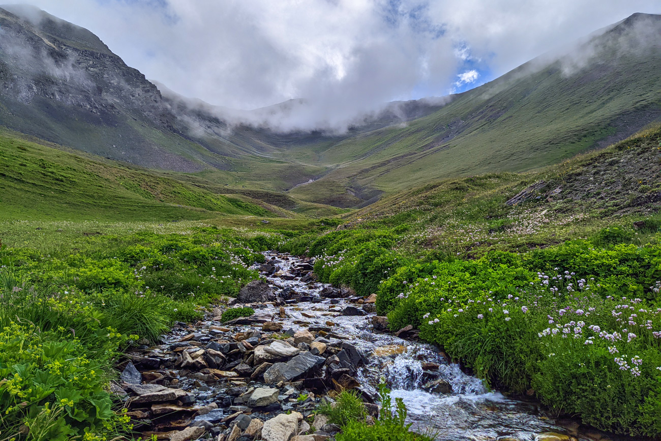 Долина реки Сардидон, image of landscape/habitat.