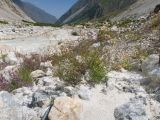 Черек-Безенгийский, image of landscape/habitat.