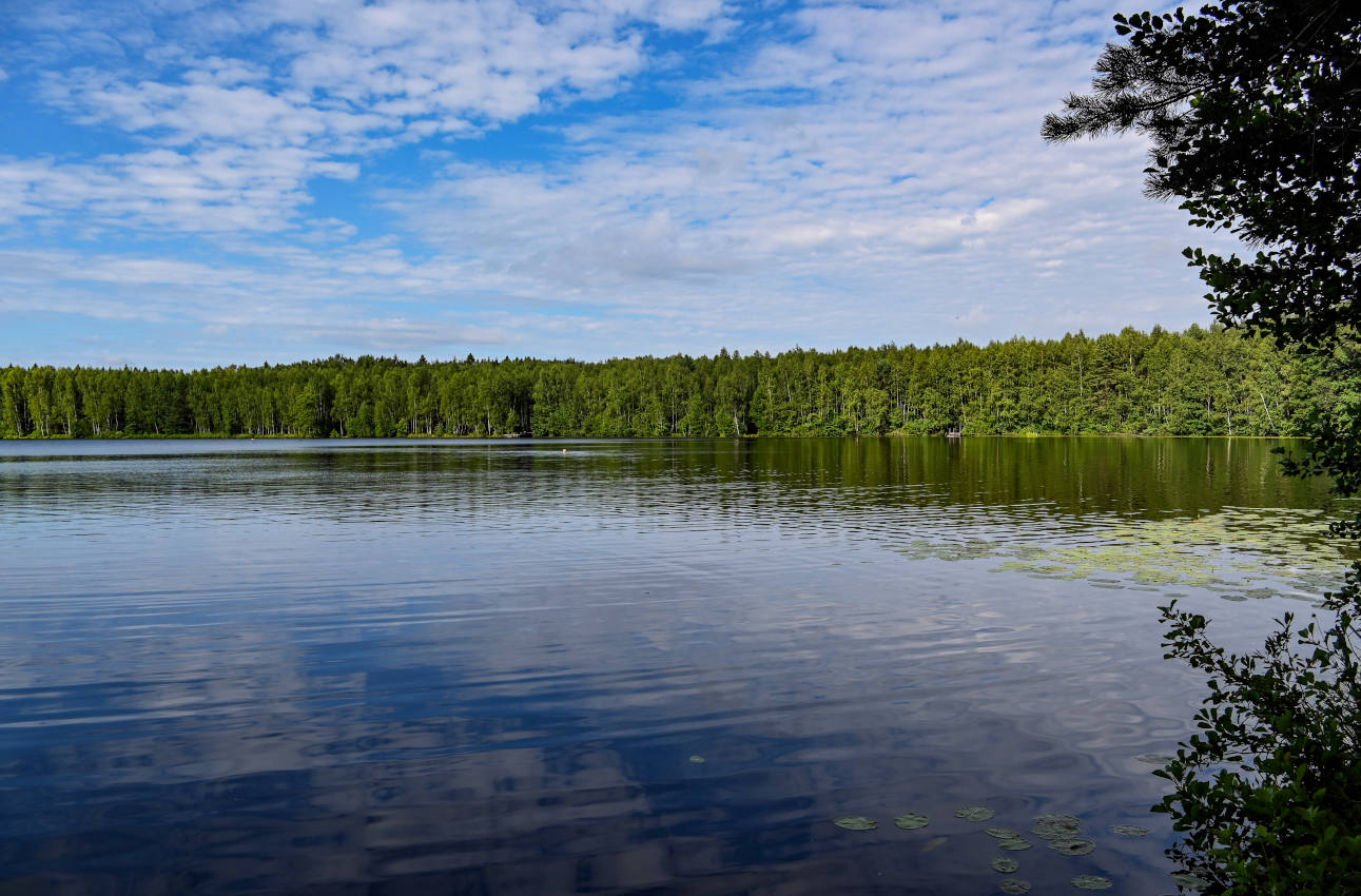 Озеро Свиное, image of landscape/habitat.