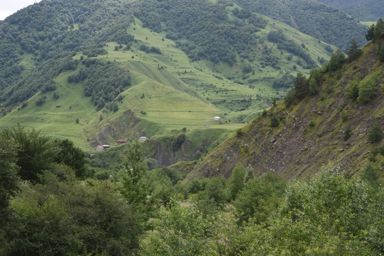 Химой, image of landscape/habitat.