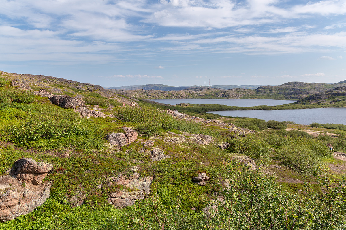 Териберка, image of landscape/habitat.
